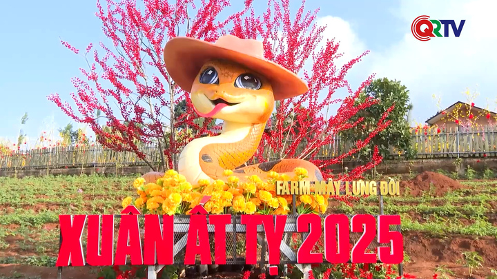 Khám phá linh vật rắn đẹp nhất Tết Ất Tỵ 2025 trên khắp các tỉnh thành - Ảnh 15.