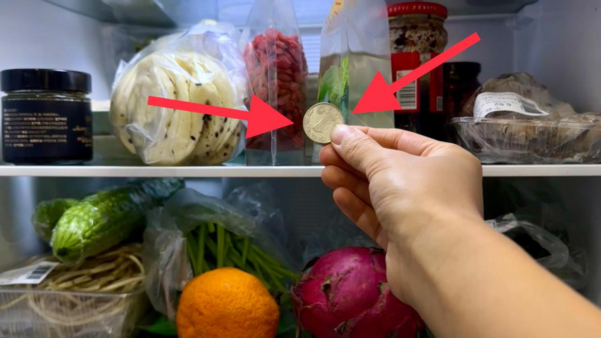 Bỏ 1 đồng xu vào tủ lạnh trước khi về quê ăn Tết: Hành động đơn giản nhưng có thể bảo vệ bạn