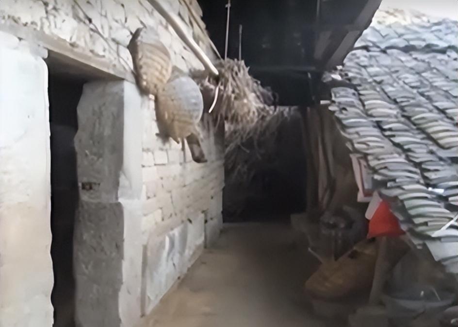 Nhặt đứa trẻ sơ sinh bị bỏ rơi giữa trời lạnh gi&aacute; về nu&ocirc;i, nhiều năm sau người đ&agrave;n &ocirc;ng ngh&egrave;o rớt mồng tơi nhận về một thứ- Ảnh 4.