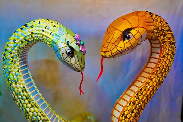 Khám phá linh vật rắn đẹp nhất Tết Ất Tỵ 2025 trên khắp các tỉnh thành - Ảnh 7.