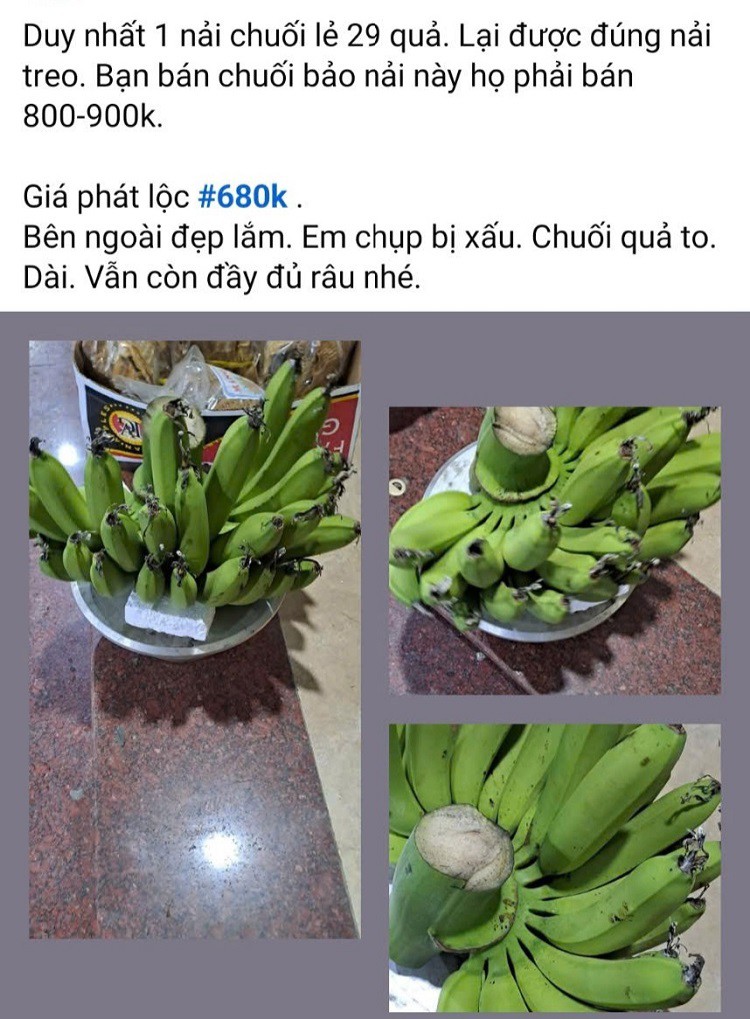 - Ảnh 4.