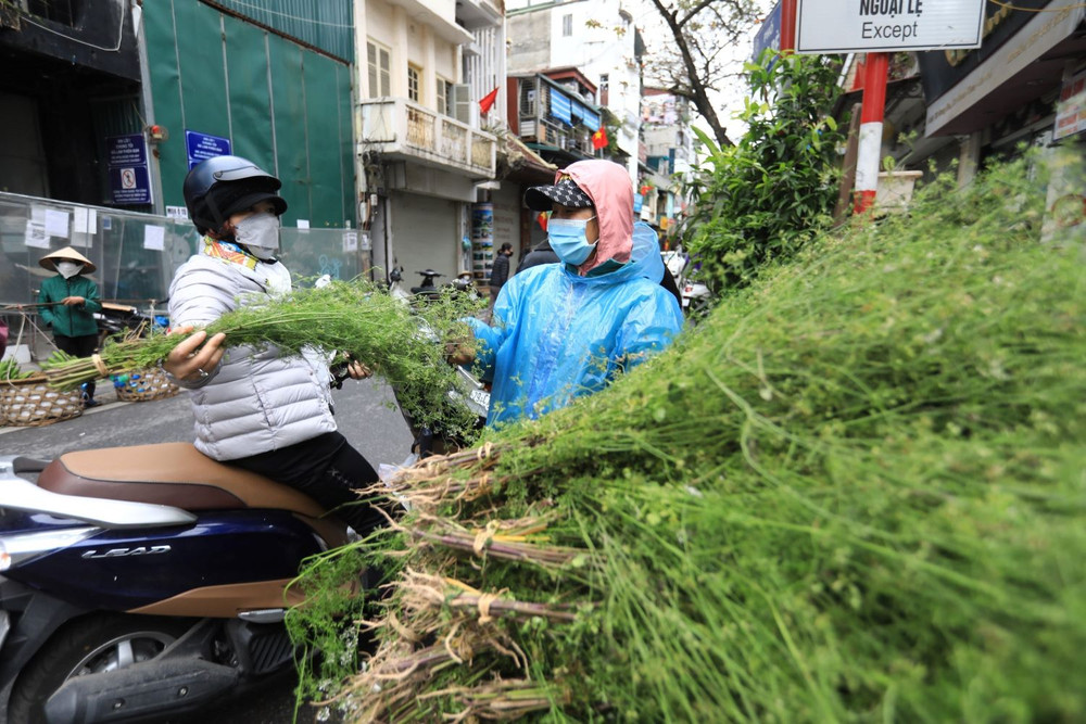 Loại lá không thể thiếu vào ngày cuối năm của người Việt: Đem tắm thì tốt sức khỏe, rửa mặt thì da hồng hào- Ảnh 1.