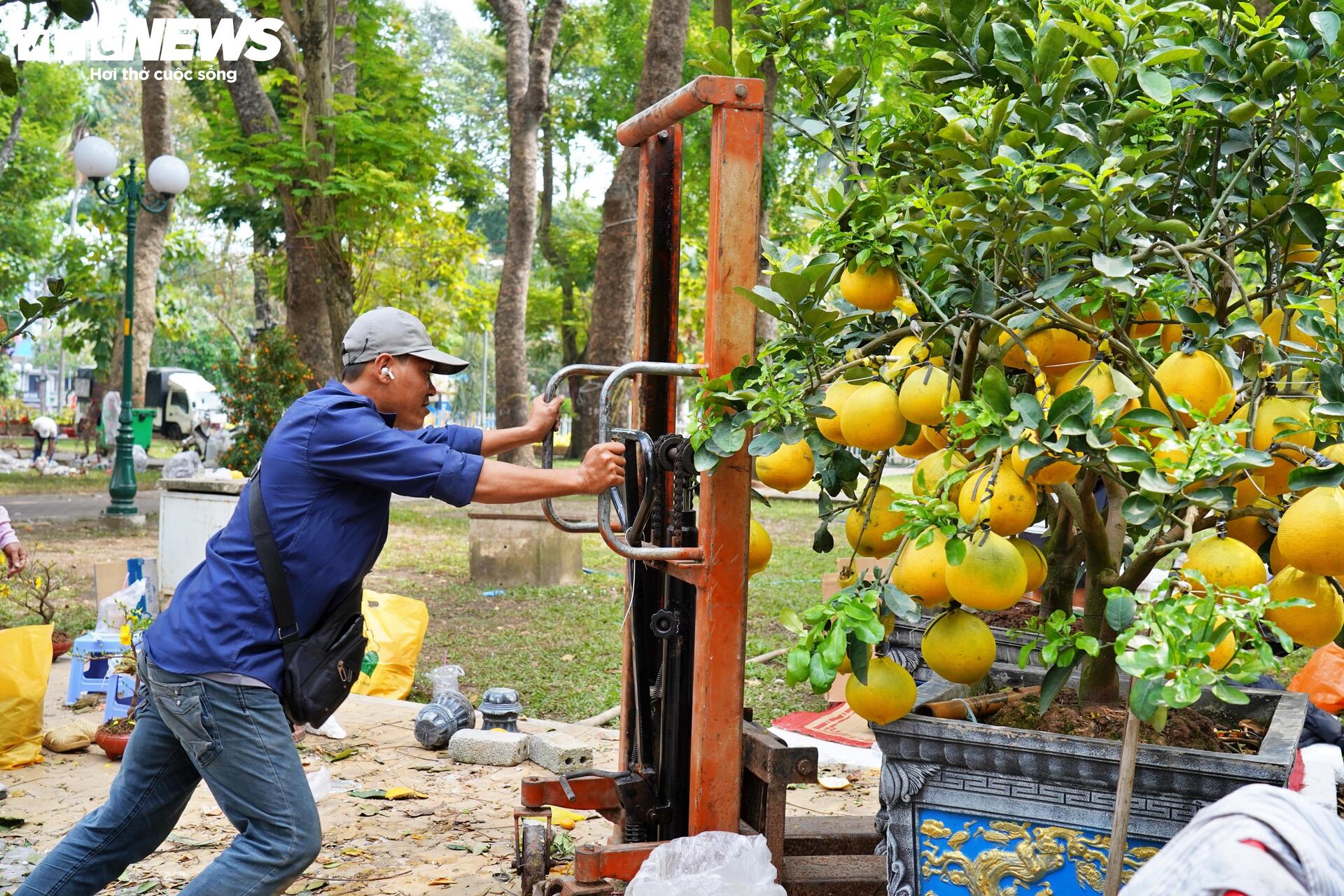 TP.HCM: Xả lỗ không ai mua, tiểu thương bỏ hoa, vứt chậu về quê đón giao thừa - Ảnh 14.