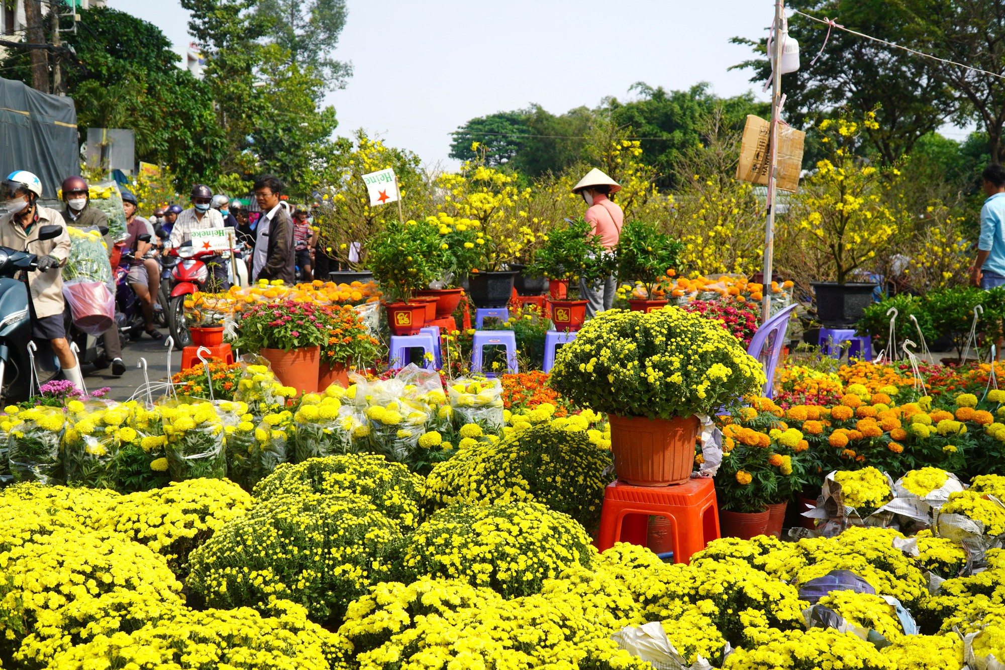 Hoa Tết ở TP HCM ế ẩm, đồng loạt giảm giá vẫn vắng người mua- Ảnh 31. Hoa Tết ở TP HCM ế ẩm, đồng loạt giảm giá vẫn vắng người mua- Ảnh 31.