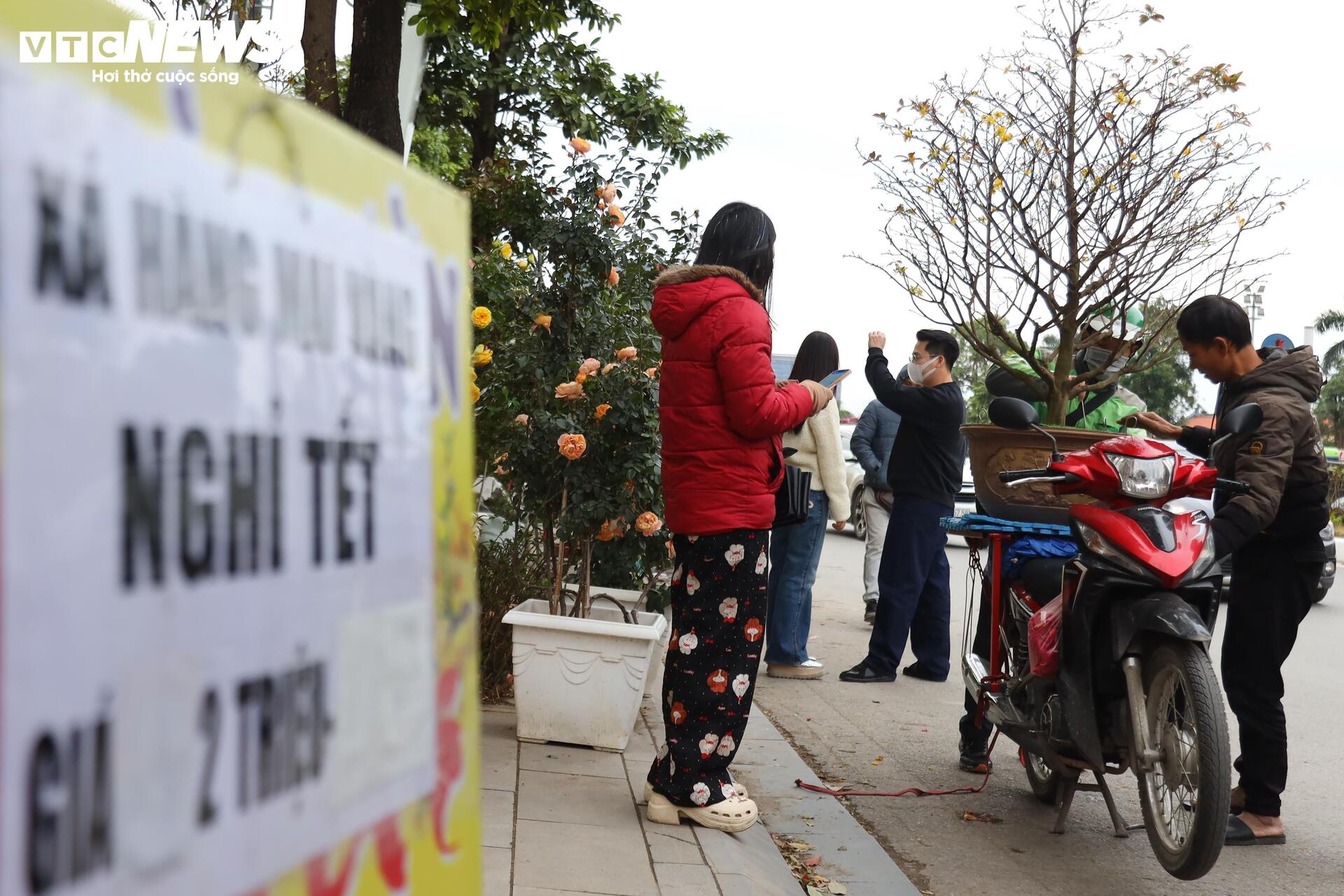 Hoa đào, mai vàng đại hạ giá, tiểu thương xả hàng về quê ăn Tết - Ảnh 6.