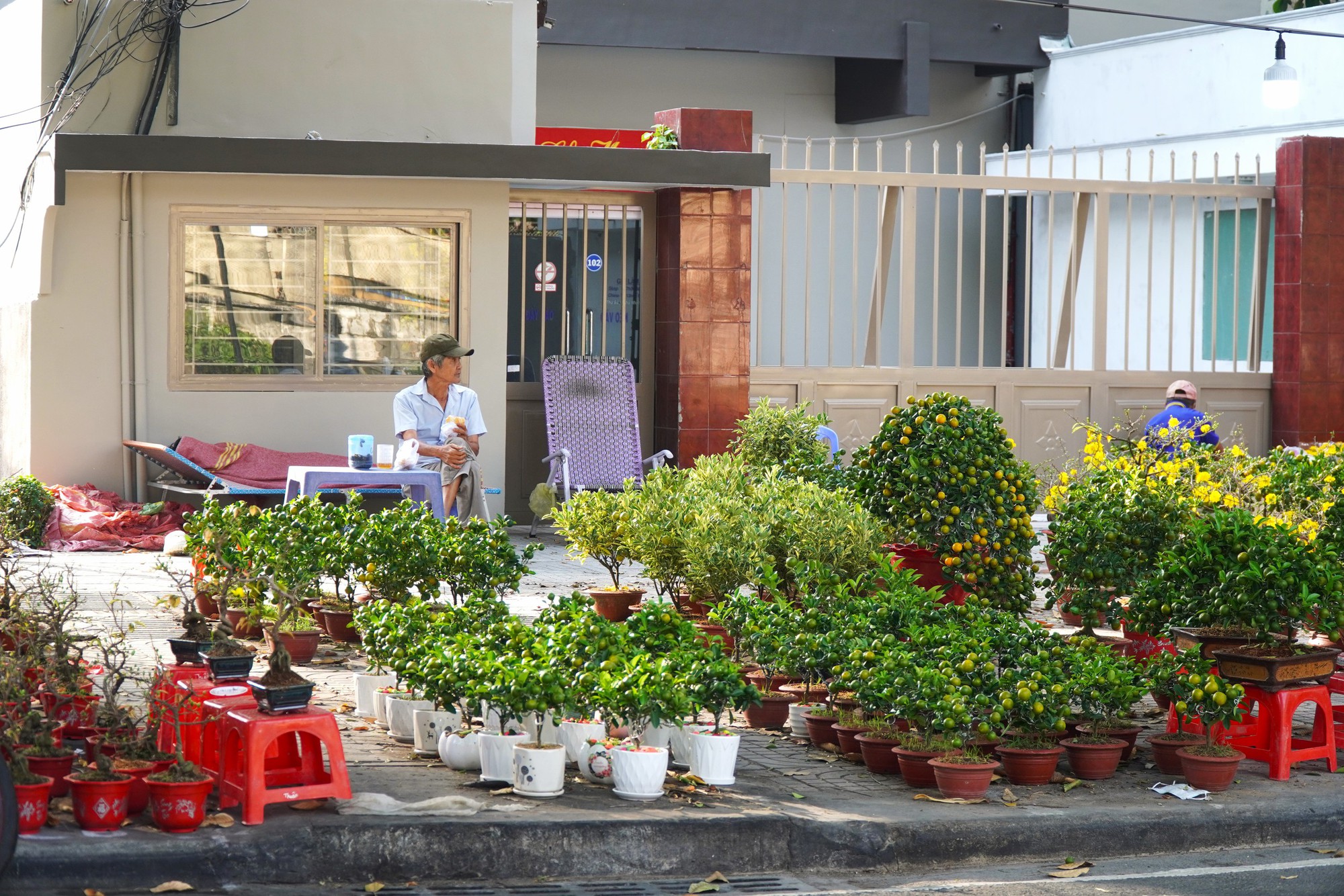 Hoa Tết ở TP HCM ế ẩm, đồng loạt giảm giá vẫn vắng người mua- Ảnh 4. Hoa Tết ở TP HCM ế ẩm, đồng loạt giảm giá vẫn vắng người mua- Ảnh 4.