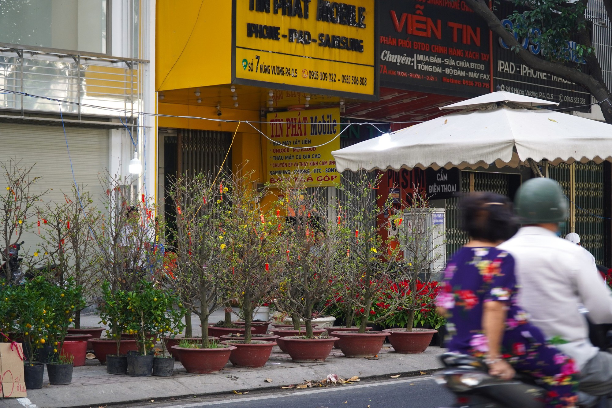 Hoa Tết ở TP HCM ế ẩm, đồng loạt giảm giá vẫn vắng người mua- Ảnh 3. Hoa Tết ở TP HCM ế ẩm, đồng loạt giảm giá vẫn vắng người mua- Ảnh 3.