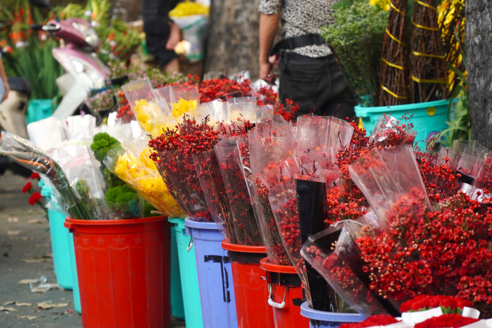 Hoa Tết ở TP HCM ế ẩm, đồng loạt giảm giá vẫn vắng người mua- Ảnh 6. Hoa Tết ở TP HCM ế ẩm, đồng loạt giảm giá vẫn vắng người mua- Ảnh 6.