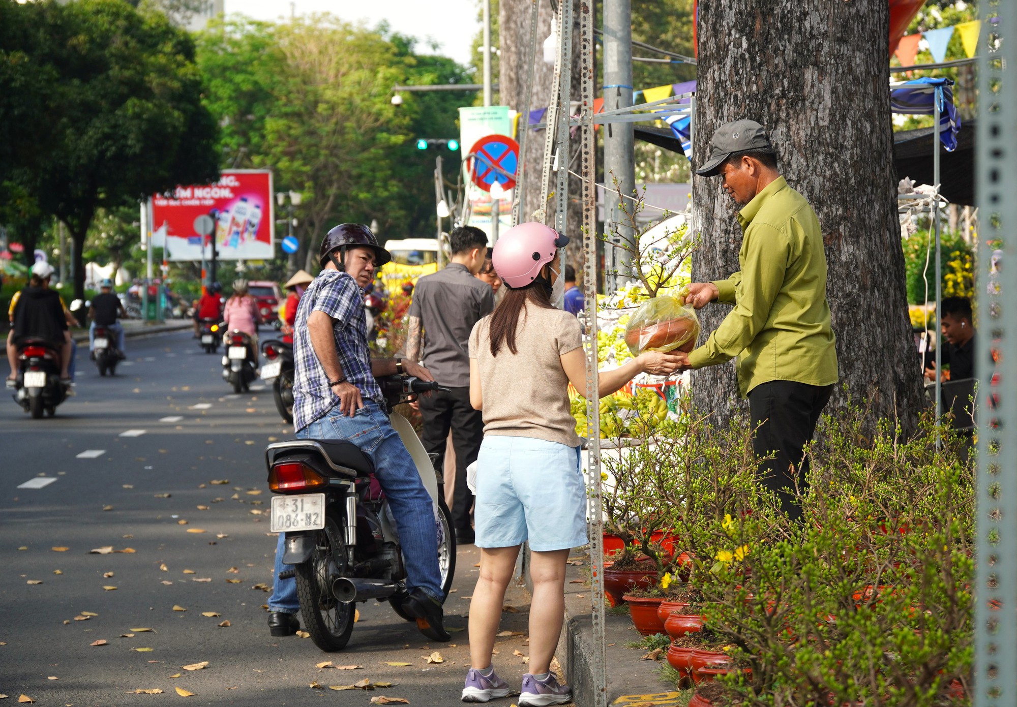 Hoa Tết ở TP HCM ế ẩm, đồng loạt giảm giá vẫn vắng người mua- Ảnh 1. Hoa Tết ở TP HCM ế ẩm, đồng loạt giảm giá vẫn vắng người mua- Ảnh 1.