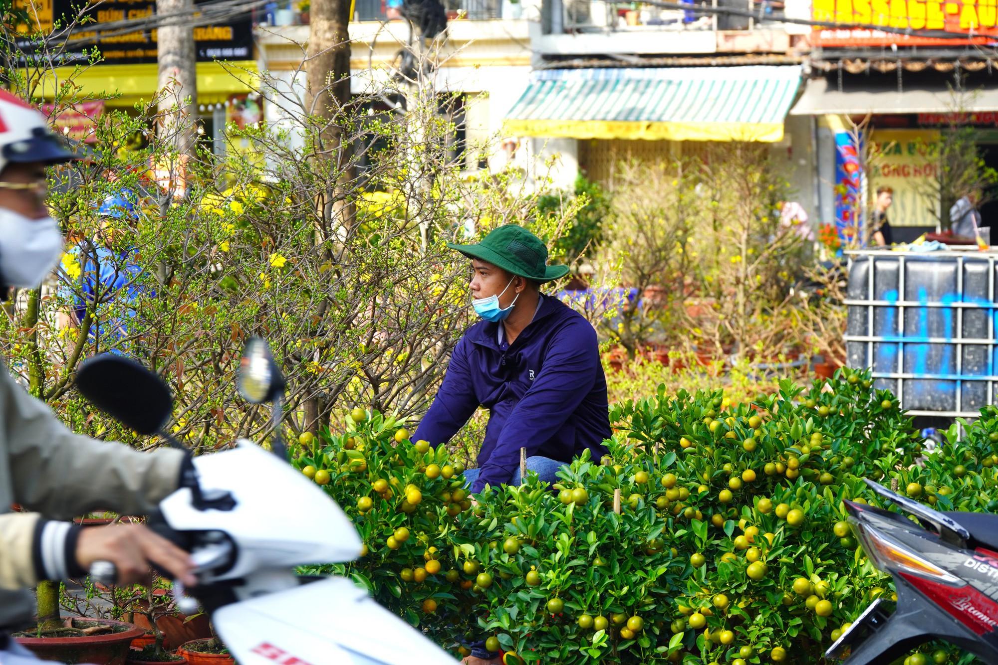 Hoa Tết ở TP HCM ế ẩm, đồng loạt giảm giá vẫn vắng người mua- Ảnh 14. Hoa Tết ở TP HCM ế ẩm, đồng loạt giảm giá vẫn vắng người mua- Ảnh 14.