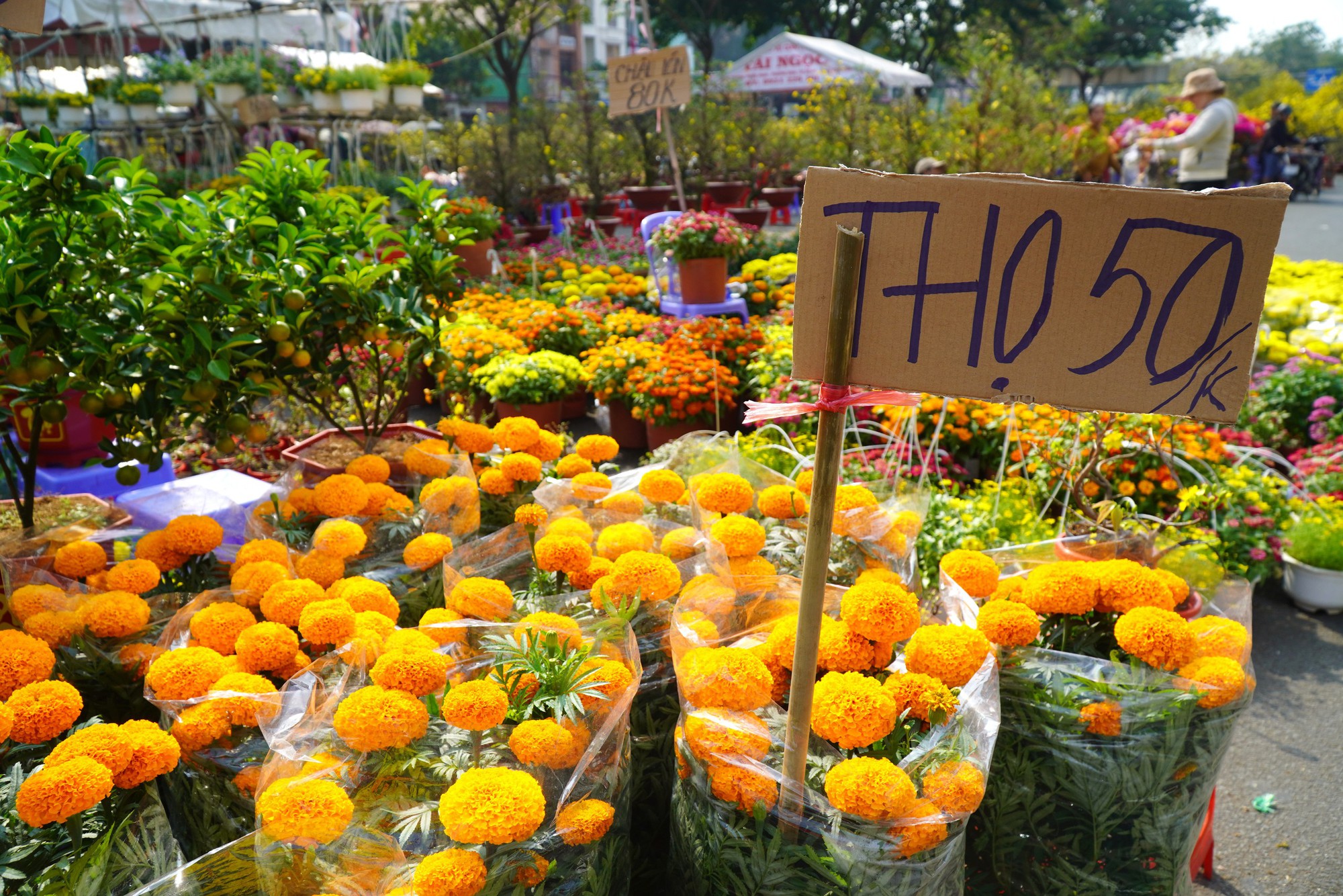 Hoa Tết ở TP HCM ế ẩm, đồng loạt giảm giá vẫn vắng người mua- Ảnh 17. Hoa Tết ở TP HCM ế ẩm, đồng loạt giảm giá vẫn vắng người mua- Ảnh 17.