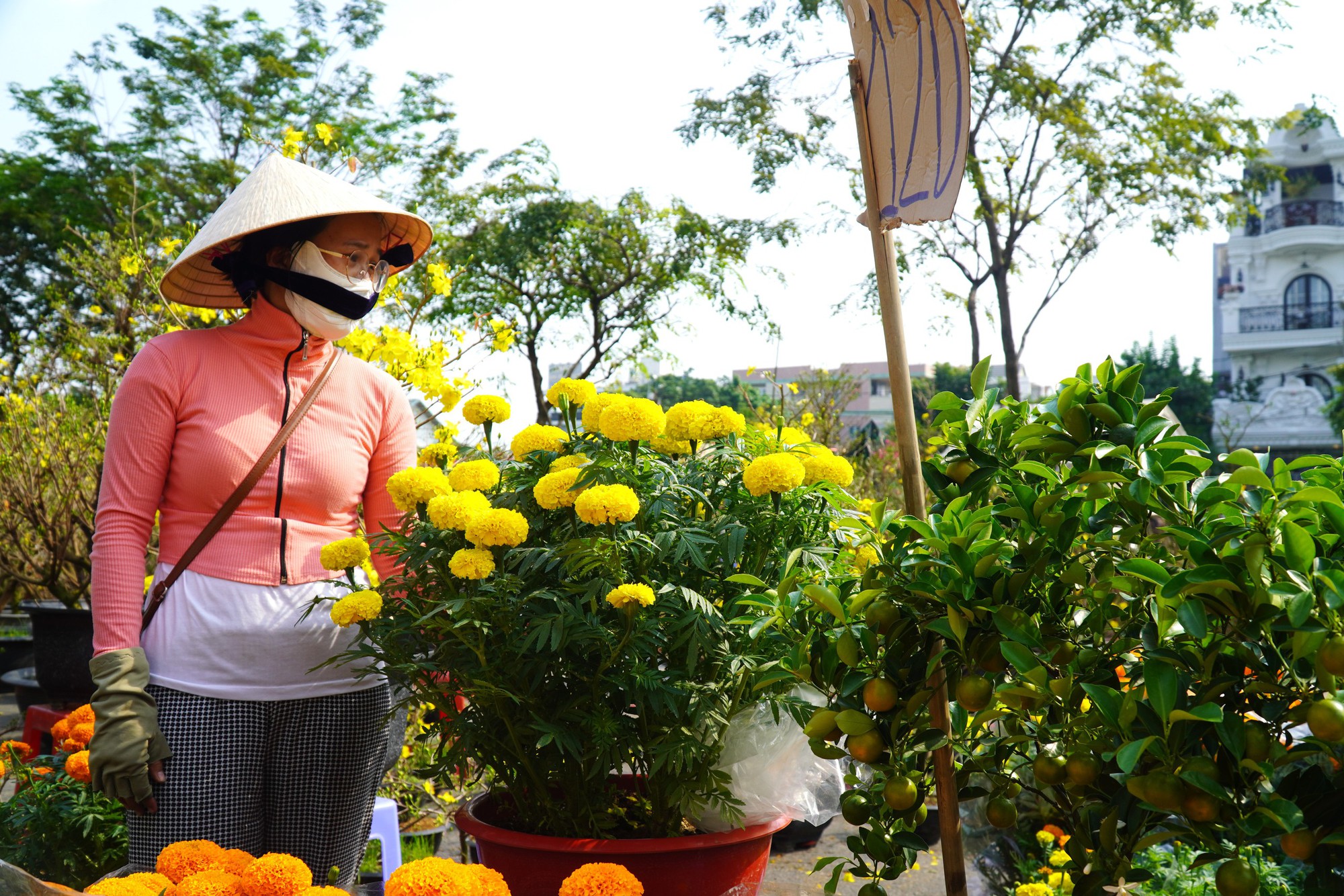 Hoa Tết ở TP HCM ế ẩm, đồng loạt giảm giá vẫn vắng người mua- Ảnh 16. Hoa Tết ở TP HCM ế ẩm, đồng loạt giảm giá vẫn vắng người mua- Ảnh 16.