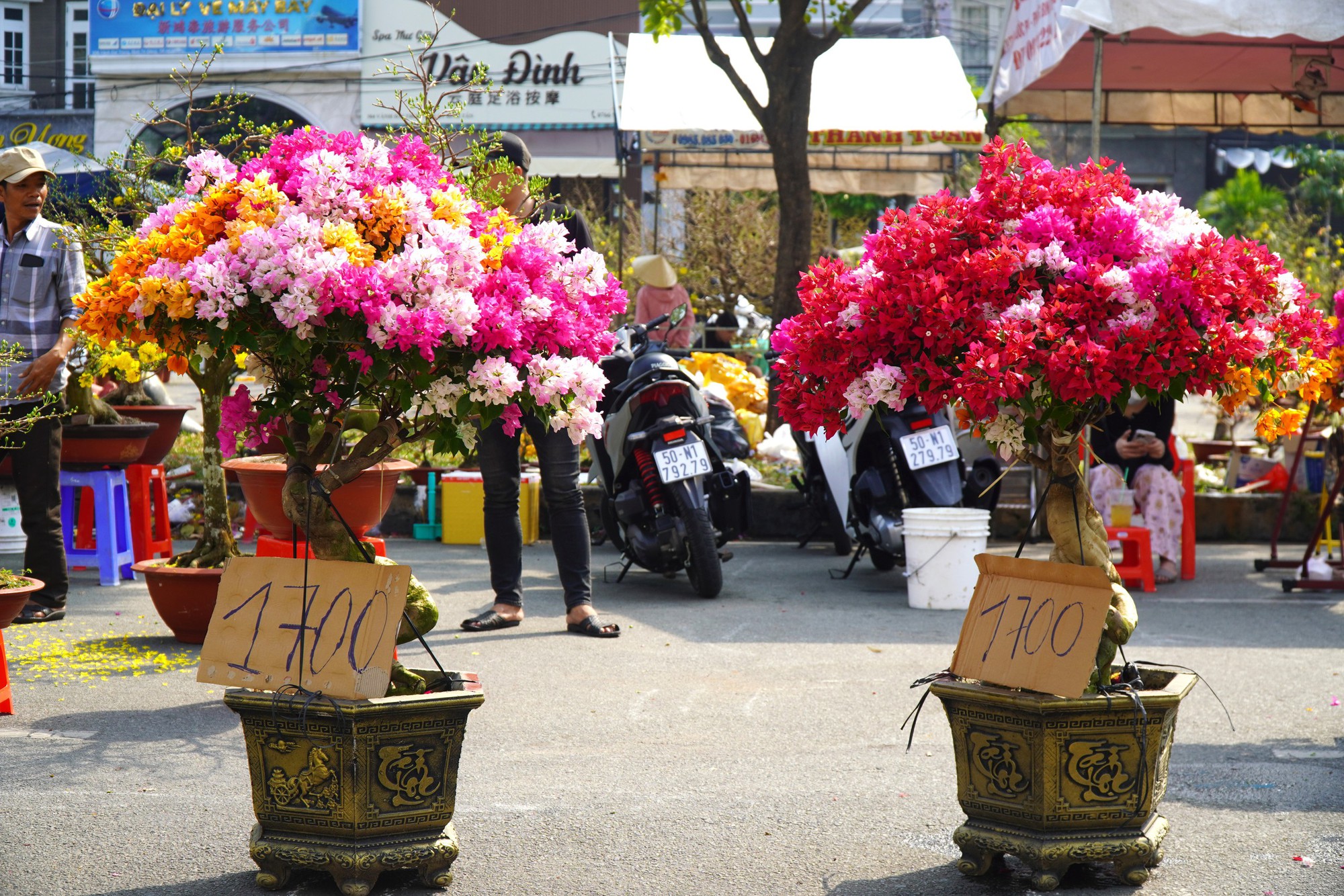 Hoa Tết ở TP HCM ế ẩm, đồng loạt giảm giá vẫn vắng người mua- Ảnh 20. Hoa Tết ở TP HCM ế ẩm, đồng loạt giảm giá vẫn vắng người mua- Ảnh 20.