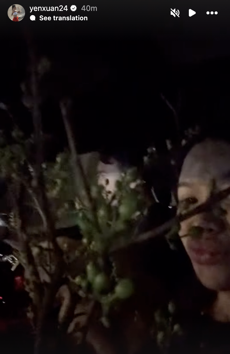 Hội cầu thủ nổi tiếng đ&oacute;n tết: Xu&acirc;n Son "nhập gia tuỳ tục" h&aacute;t karaoke tưng bừng, Văn L&acirc;m c&ugrave;ng vợ bầu decor nh&agrave; cửa - Ảnh 3.