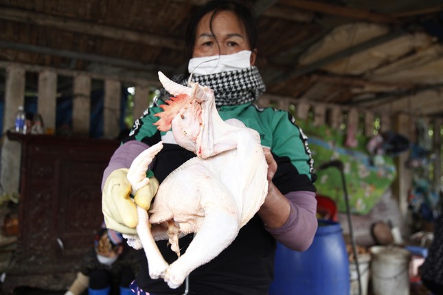 Nghề thịt gà thuê ngày 29 Tết: Cơ hội kiếm tiền triệu - Ảnh 3.