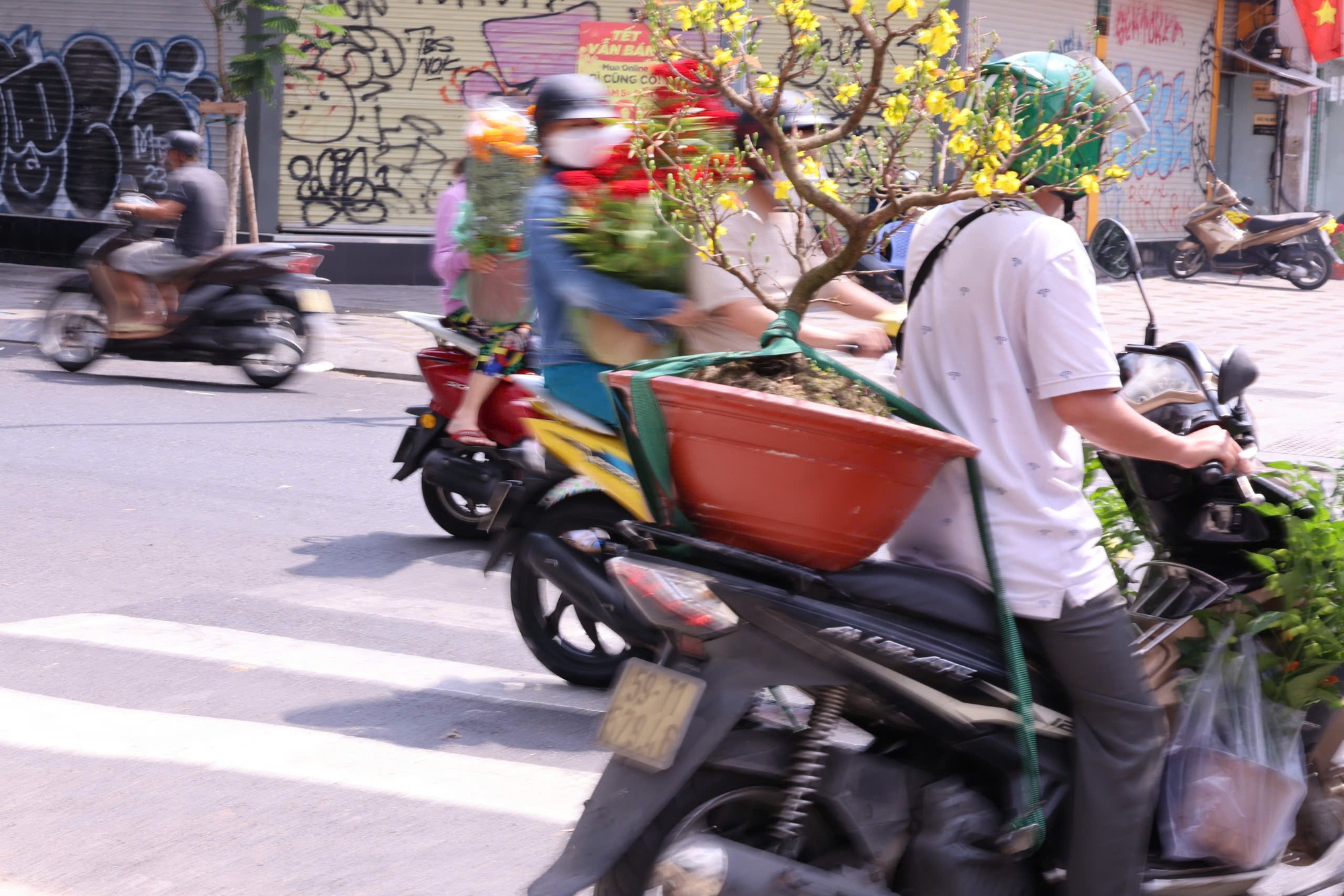 Hoa Tết ở TP HCM ế ẩm, đồng loạt giảm giá vẫn vắng người mua- Ảnh 30. Hoa Tết ở TP HCM ế ẩm, đồng loạt giảm giá vẫn vắng người mua- Ảnh 30.