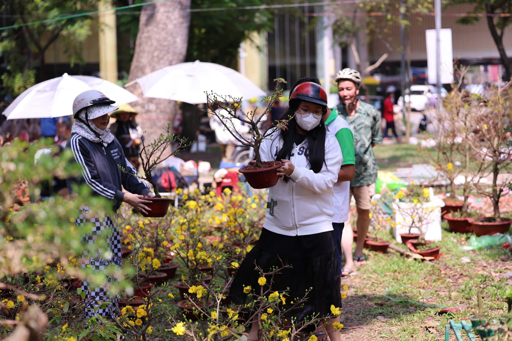 Hoa Tết ở TP HCM ế ẩm, đồng loạt giảm giá vẫn vắng người mua- Ảnh 28. Hoa Tết ở TP HCM ế ẩm, đồng loạt giảm giá vẫn vắng người mua- Ảnh 28.