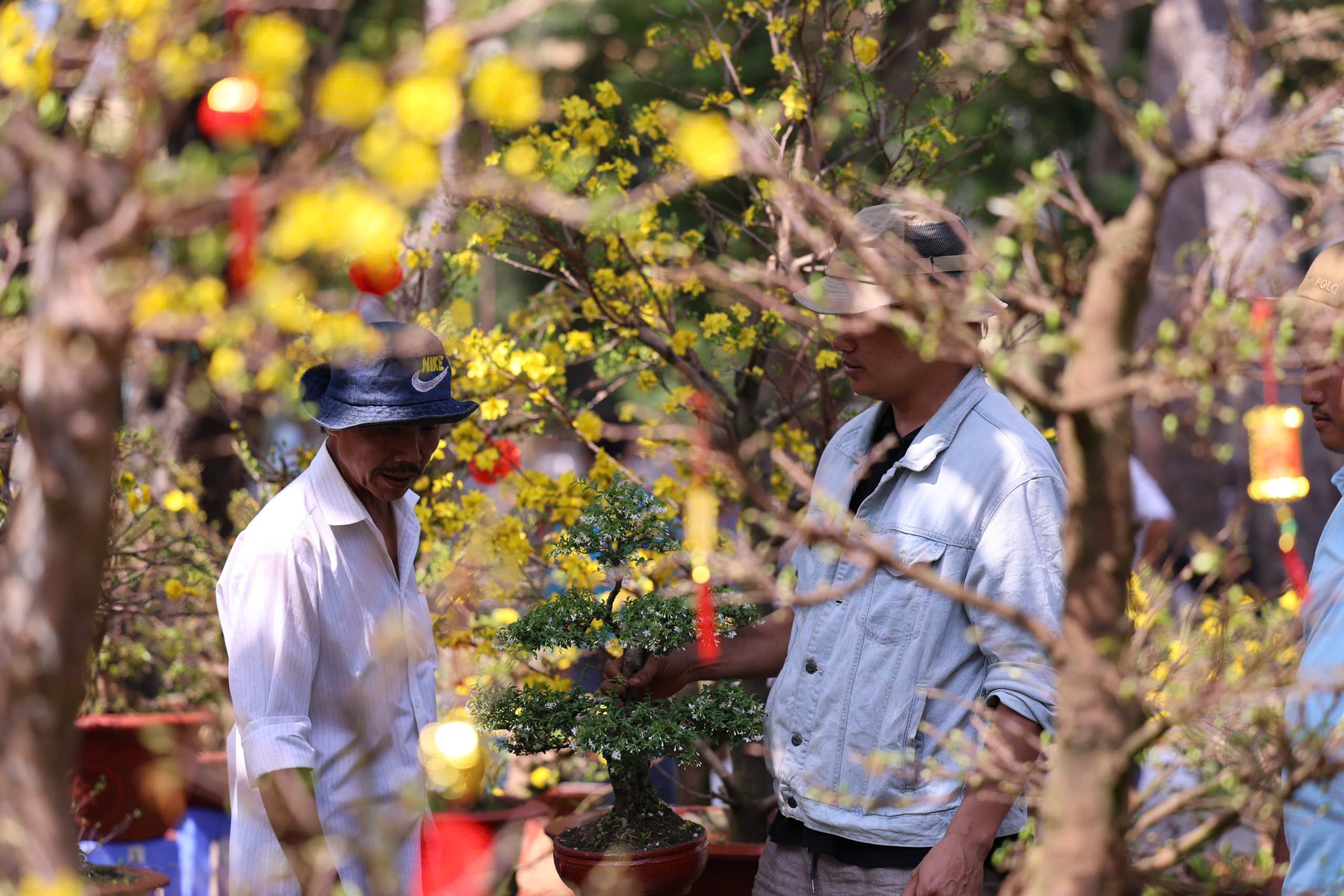 Hoa Tết ở TP HCM ế ẩm, đồng loạt giảm giá vẫn vắng người mua- Ảnh 29. Hoa Tết ở TP HCM ế ẩm, đồng loạt giảm giá vẫn vắng người mua- Ảnh 29.