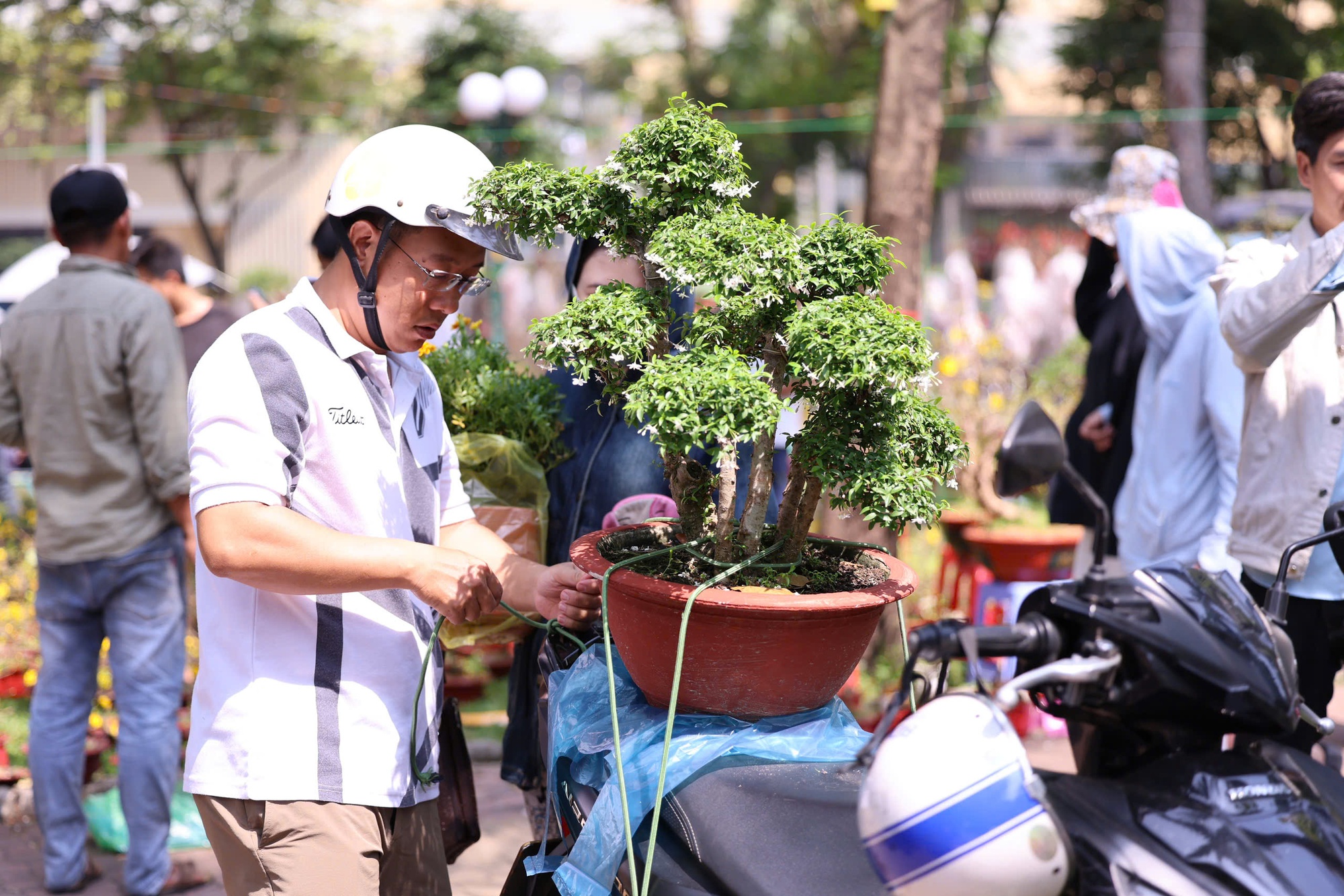 Hoa Tết ở TP HCM ế ẩm, đồng loạt giảm giá vẫn vắng người mua- Ảnh 27. Hoa Tết ở TP HCM ế ẩm, đồng loạt giảm giá vẫn vắng người mua- Ảnh 27.