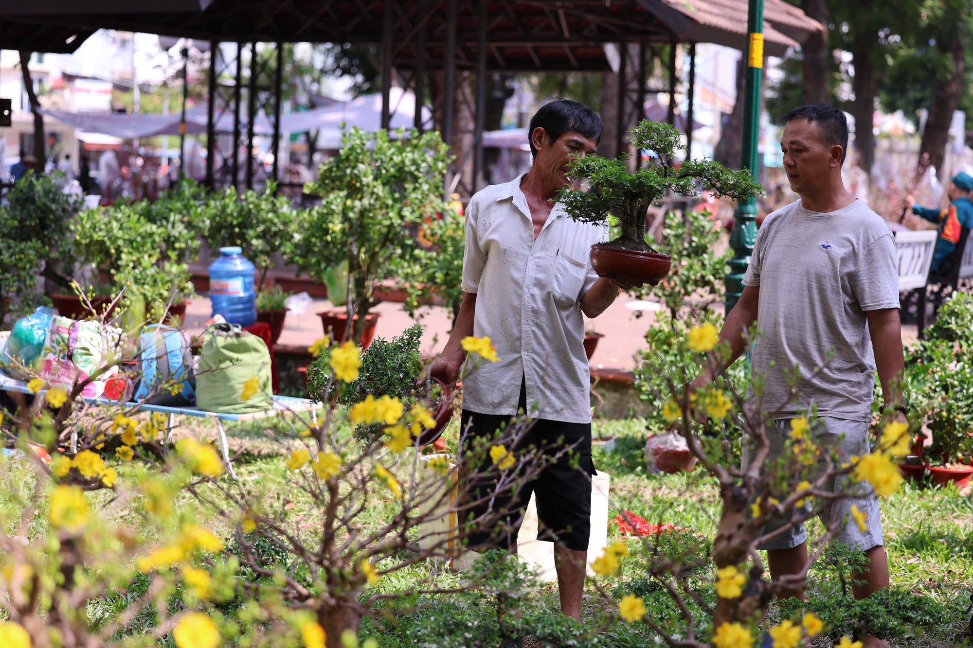 Hoa Tết ở TP HCM ế ẩm, đồng loạt giảm giá vẫn vắng người mua- Ảnh 26. Hoa Tết ở TP HCM ế ẩm, đồng loạt giảm giá vẫn vắng người mua- Ảnh 26.