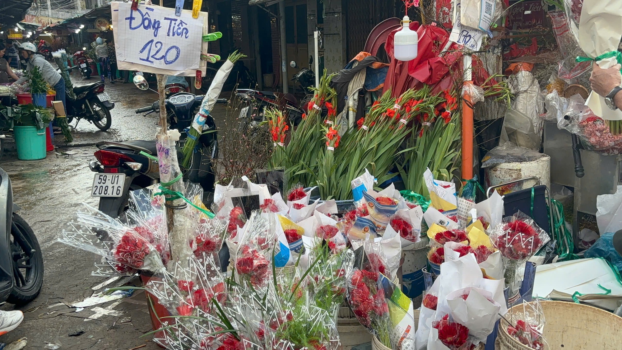 Hoa Tết ở TP HCM ế ẩm, đồng loạt giảm giá vẫn vắng người mua- Ảnh 8. Hoa Tết ở TP HCM ế ẩm, đồng loạt giảm giá vẫn vắng người mua- Ảnh 8.