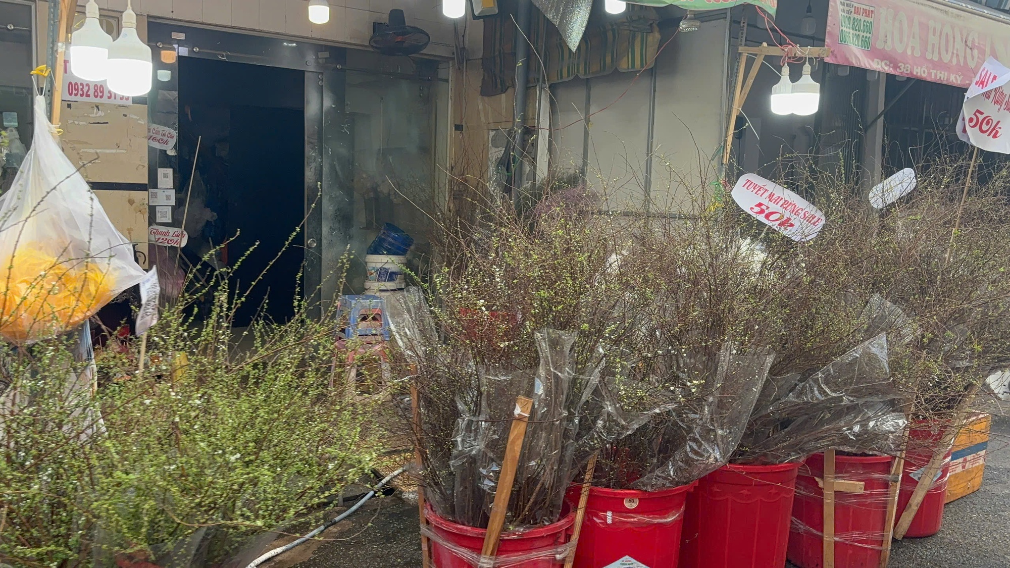 Hoa Tết ở TP HCM ế ẩm, đồng loạt giảm giá vẫn vắng người mua- Ảnh 7. Hoa Tết ở TP HCM ế ẩm, đồng loạt giảm giá vẫn vắng người mua- Ảnh 7.