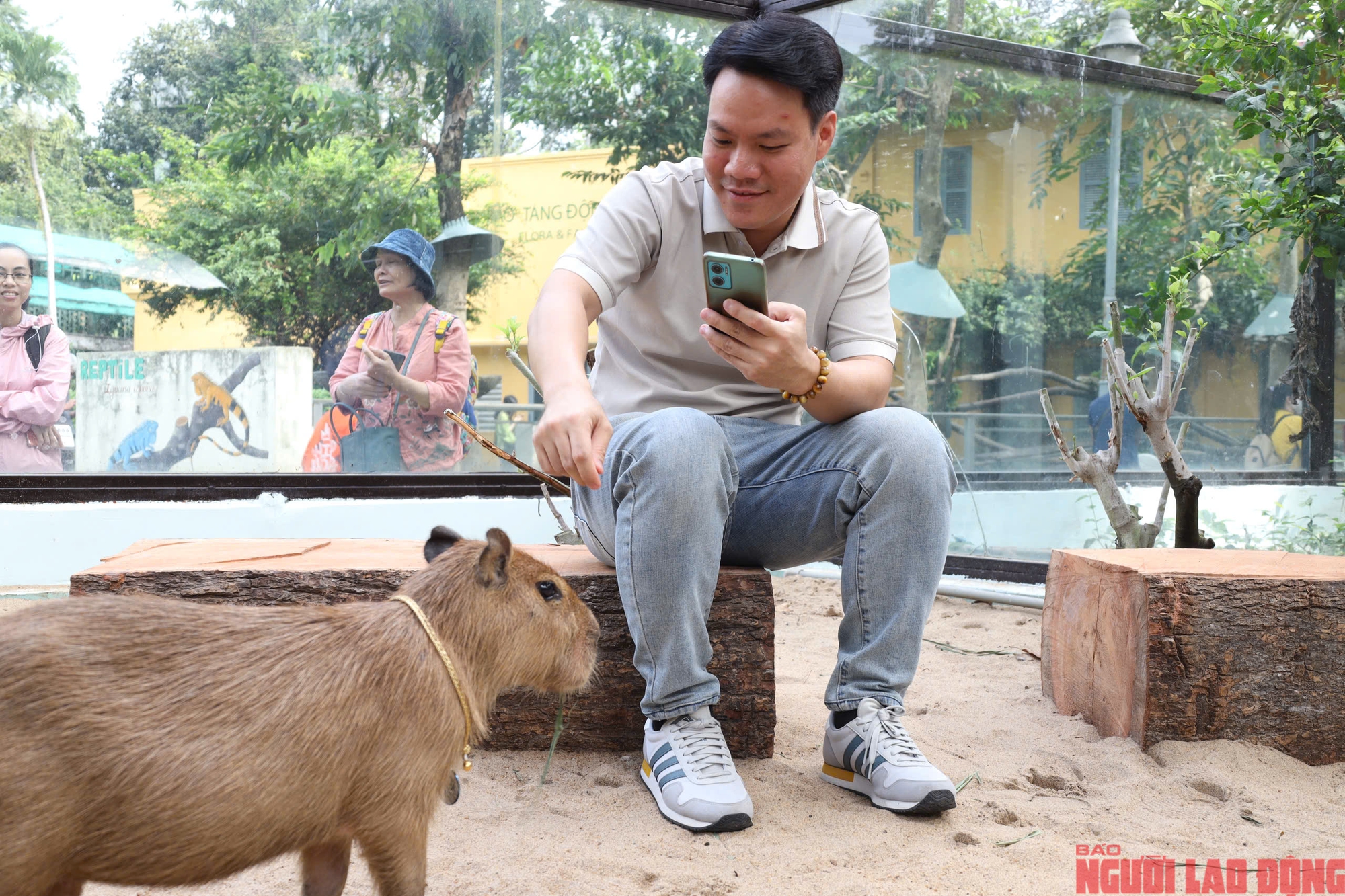 Ngắm "bộ trưởng ngoại giao trong giới động vật" tại Thảo Cầm Viên Sài Gòn - Ảnh 5.