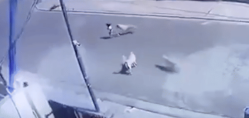 Bậc thầy EQ lu&ocirc;n mang theo 8 chữ: Ch&iacute;nh Lưu Bị cũng &lsquo;giắt t&uacute;i&rsquo; để tr&aacute;nh tai hoạ, gặt nhiều th&agrave;nh tựu lẫy lừng - Ảnh 4.