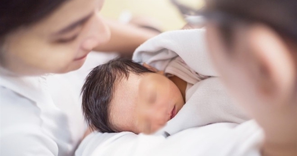 Toàn thân vàng như nghệ, suy đa tạng chỉ trong 24 giờ: Bác sĩ Hồi sức tích cực cảnh báo ‘tử thần’ mùa mưa- Ảnh 2.