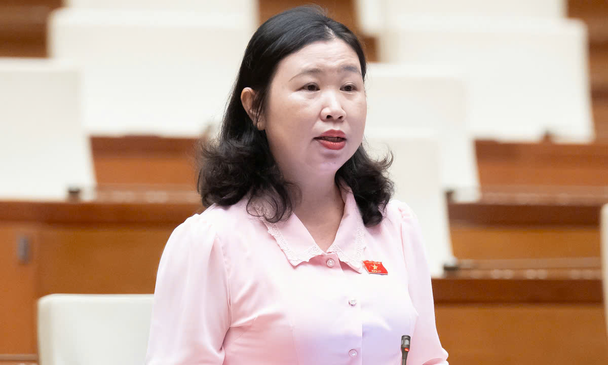 Vụ Vạn Thịnh Phát khối lượng công việc lớn, giám định 3 tháng là 'bất khả thi'- Ảnh 1.