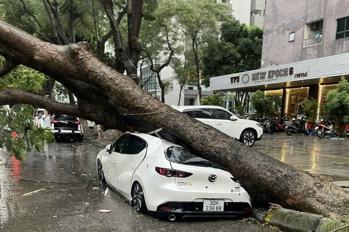 Một doanh nghiệp bảo hiểm ghi nhận 226 vụ tổn thất do bão số 10, bồi thường cao nhất 700 triệu đồng/trường hợp- Ảnh 1. Một doanh nghiệp bảo hiểm ghi nhận 226 vụ tổn thất do bão số 10, bồi thường cao nhất 700 triệu đồng/trường hợp- Ảnh 1.
