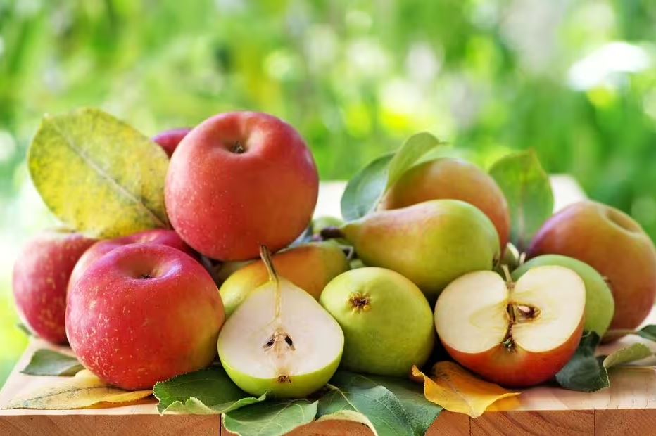 Chuối Sẽ Tươi Lâu Bất Ngờ Mà Không Bị Thâm Nếu Bạn Để Chúng Tránh Xa 4 Loại Trái Cây Này- Ảnh 2. Chuối Sẽ Tươi Lâu Bất Ngờ Mà Không Bị Thâm Nếu Bạn Để Chúng Tránh Xa 4 Loại Trái Cây Này- Ảnh 2.