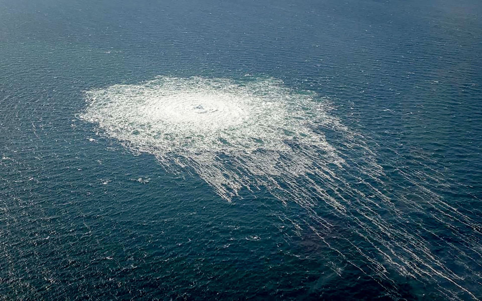 Telegraph: 'Volodymyr Z' bị bắt v&igrave; tội ph&aacute; hoại Nord Stream- Ảnh 2.