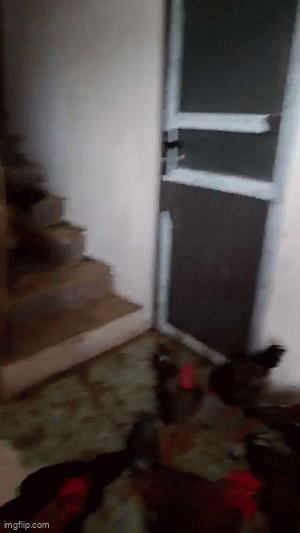 Đàn lợn, gà chen chúc trên tầng 3 tránh mưa lũ ở Thái Nguyên: Gia chủ bất lực nhìn cảnh trước mắt- Ảnh 1. Đàn lợn, gà chen chúc trên tầng 3 tránh mưa lũ ở Thái Nguyên: Gia chủ bất lực nhìn cảnh trước mắt- Ảnh 1.