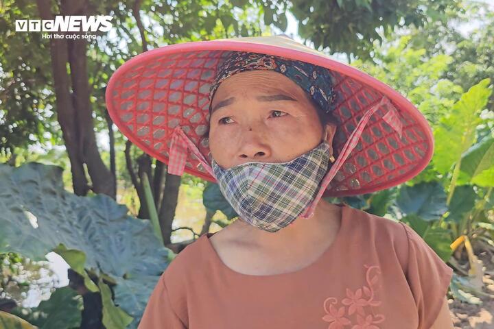 'Rốn lũ' Hà Nội: Tối nước còn mấp mé mép sân, trưa hôm sau đã tới nóc nhà- Ảnh 5.