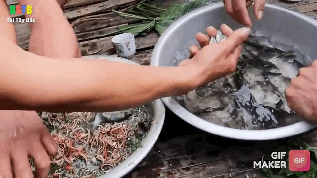 5 món Việt khiến khách Tây sợ 5 món Việt khiến khách Tây sợ