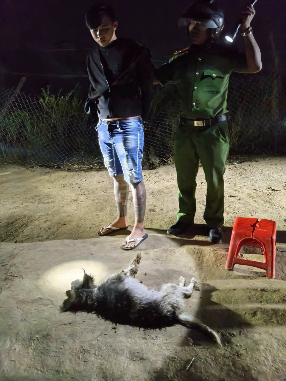 Khánh Hòa: Tạm giữ thanh niên tàng trữ súng, bắn chó để trộm- Ảnh 1.