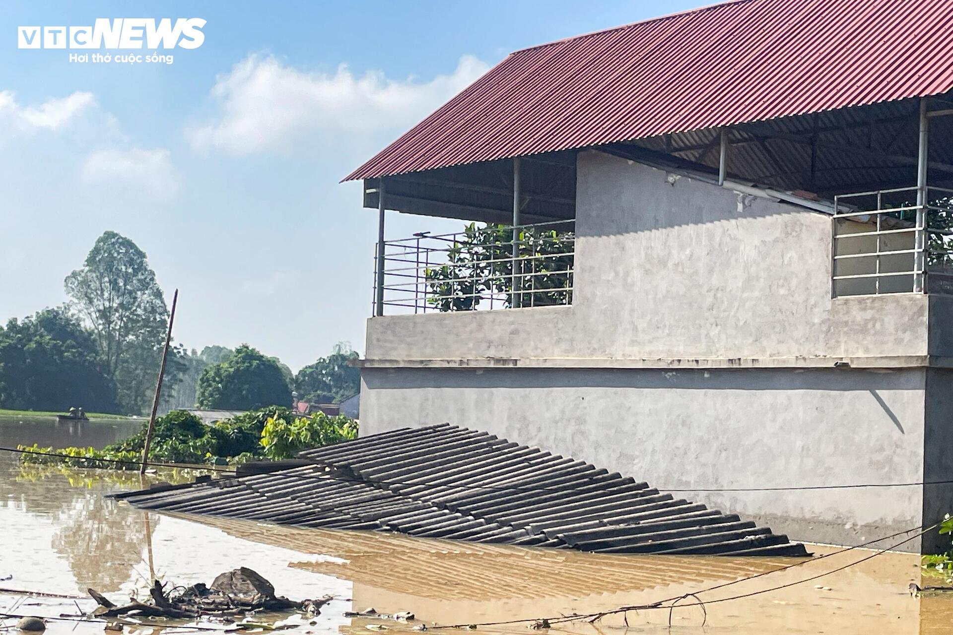 120 hộ dân ở Bắc Ninh mắc kẹt giữa biển nước: Cuộc sống đảo lộn chưa từng thấy- Ảnh 5.