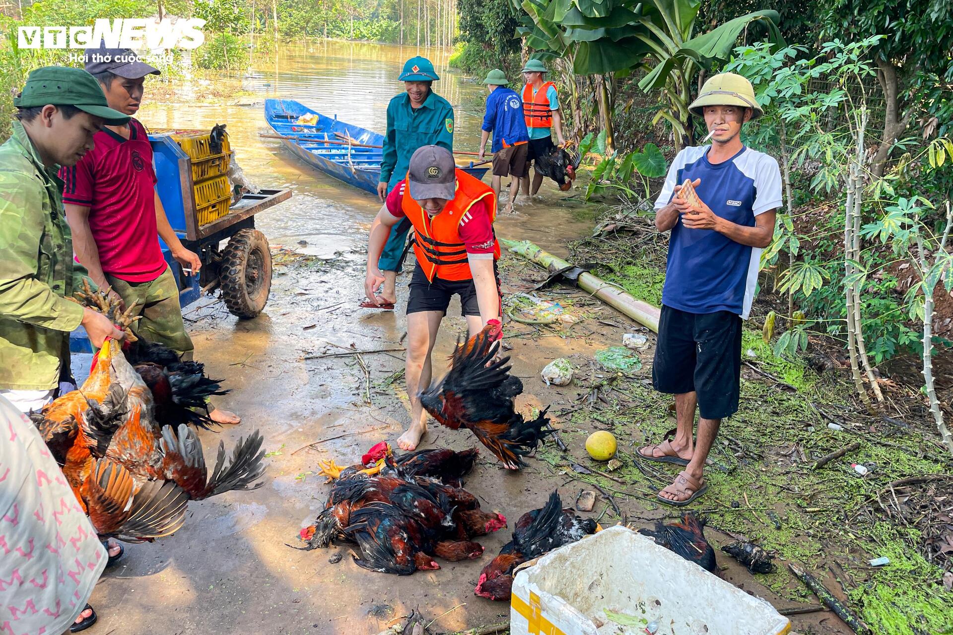 120 hộ dân ở Bắc Ninh mắc kẹt giữa biển nước: Cuộc sống đảo lộn chưa từng thấy- Ảnh 9.