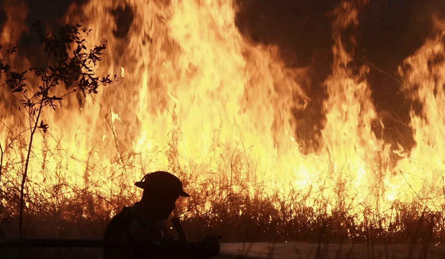 Th&ecirc;m t&aacute;c hại từ &ocirc; nhiễm kh&ocirc;ng kh&iacute; - Ảnh 1.