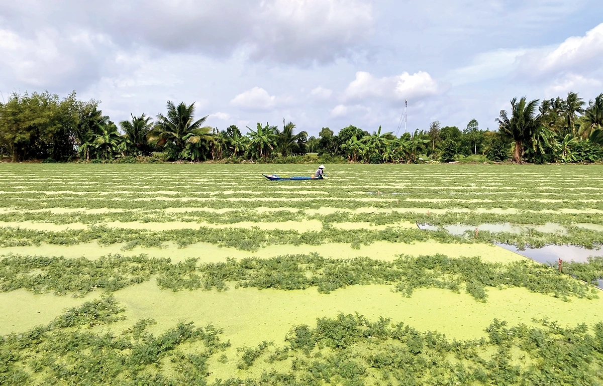 Tế bào ung thư biến mất hoàn toàn sau 5 tháng kiên trì làm 1 việc- Ảnh 2.
