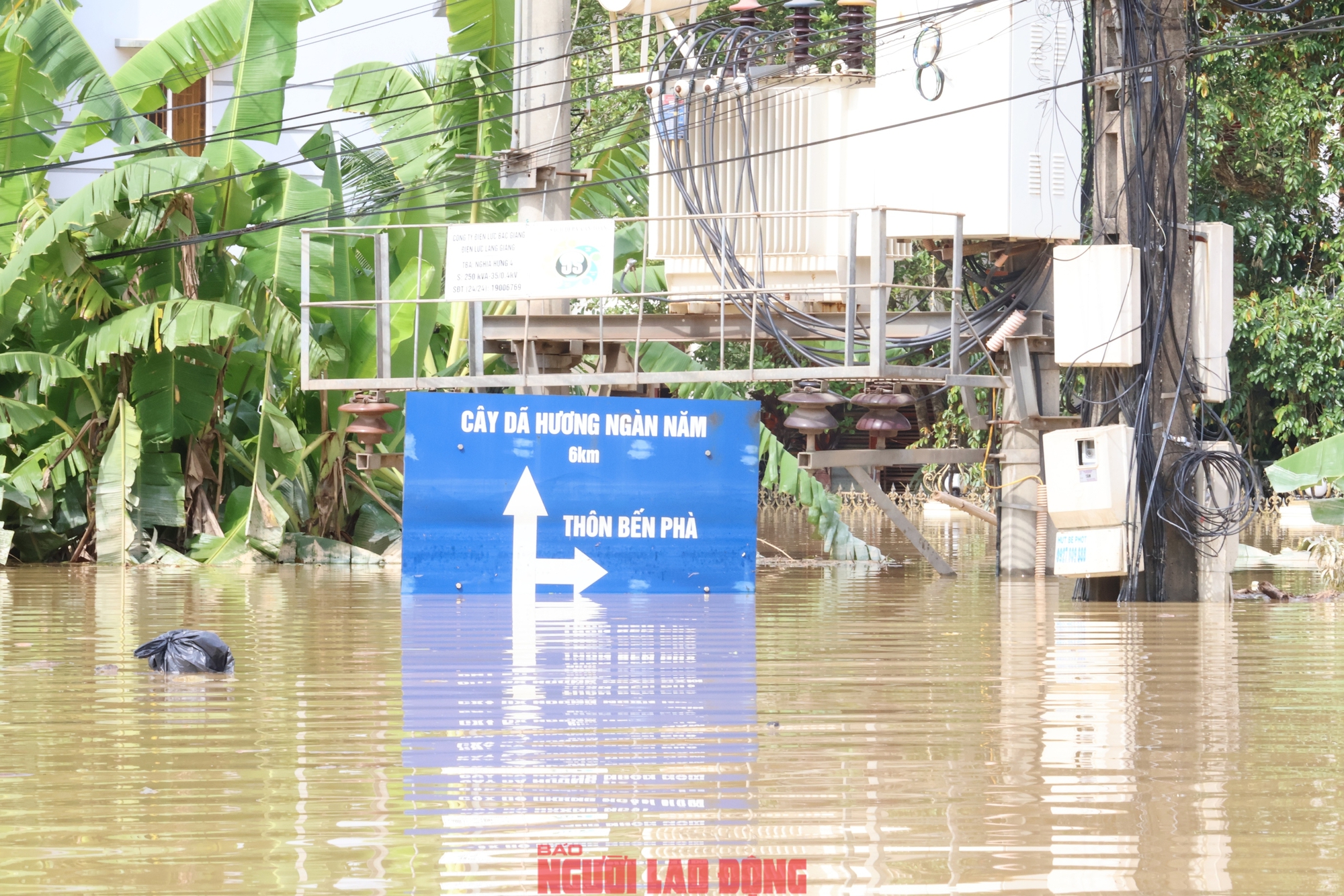 VIDEO: Những hình ảnh mới nhất ở nơi nước ngập sâu 2 m, dân sinh hoạt trên mái nhà- Ảnh 13.