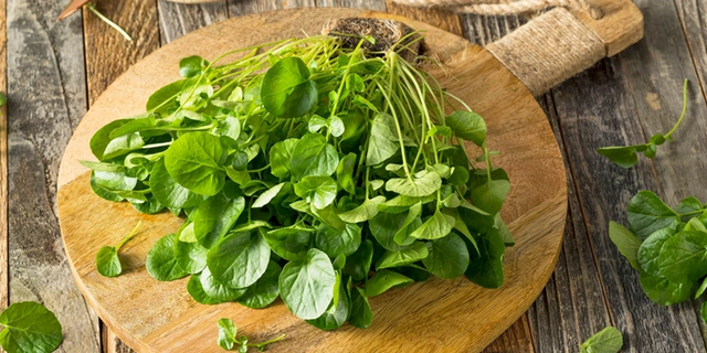 Việt Nam Sở Hữu Loại Rau Việt Nam Sở Hữu Loại Rau