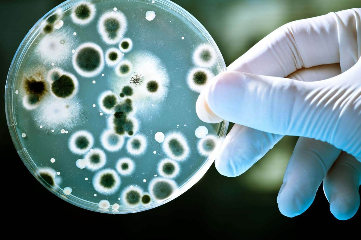 Luôn đóng cửa nhà vệ sinh khi không dùng, tôi hối hận vì 30 năm cuộc đời không biết cách này sớm hơn- Ảnh 1.