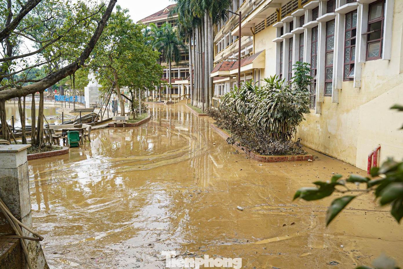 Thái Nguyên: Đại học Sư phạm tan hoang sau lũ, học bạ, con dấu trôi khắp nơi- Ảnh 6.
