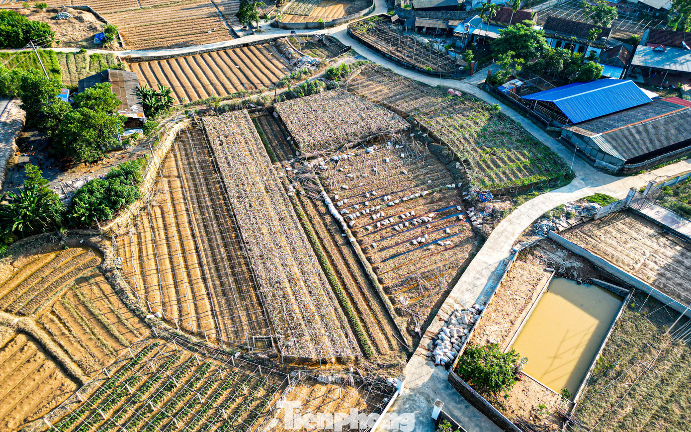 Cả cánh đồng lúa, hoa màu tan hoang, người dân Thái Nguyên bật khóc- Ảnh 1.