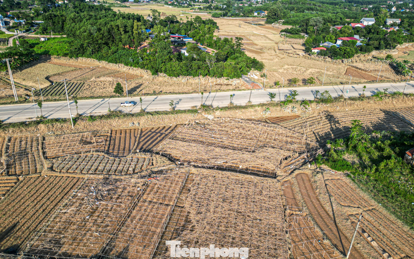 Cả cánh đồng lúa, hoa màu tan hoang, người dân Thái Nguyên bật khóc- Ảnh 17.
