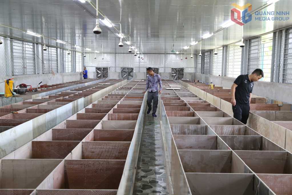 Từ hai bàn tay trắng, không bằng cấp, chàng trai 9X Quảng Ninh gây dựng cơ đồ bạc tỷ, nổi danh khắp vùng- Ảnh 3.