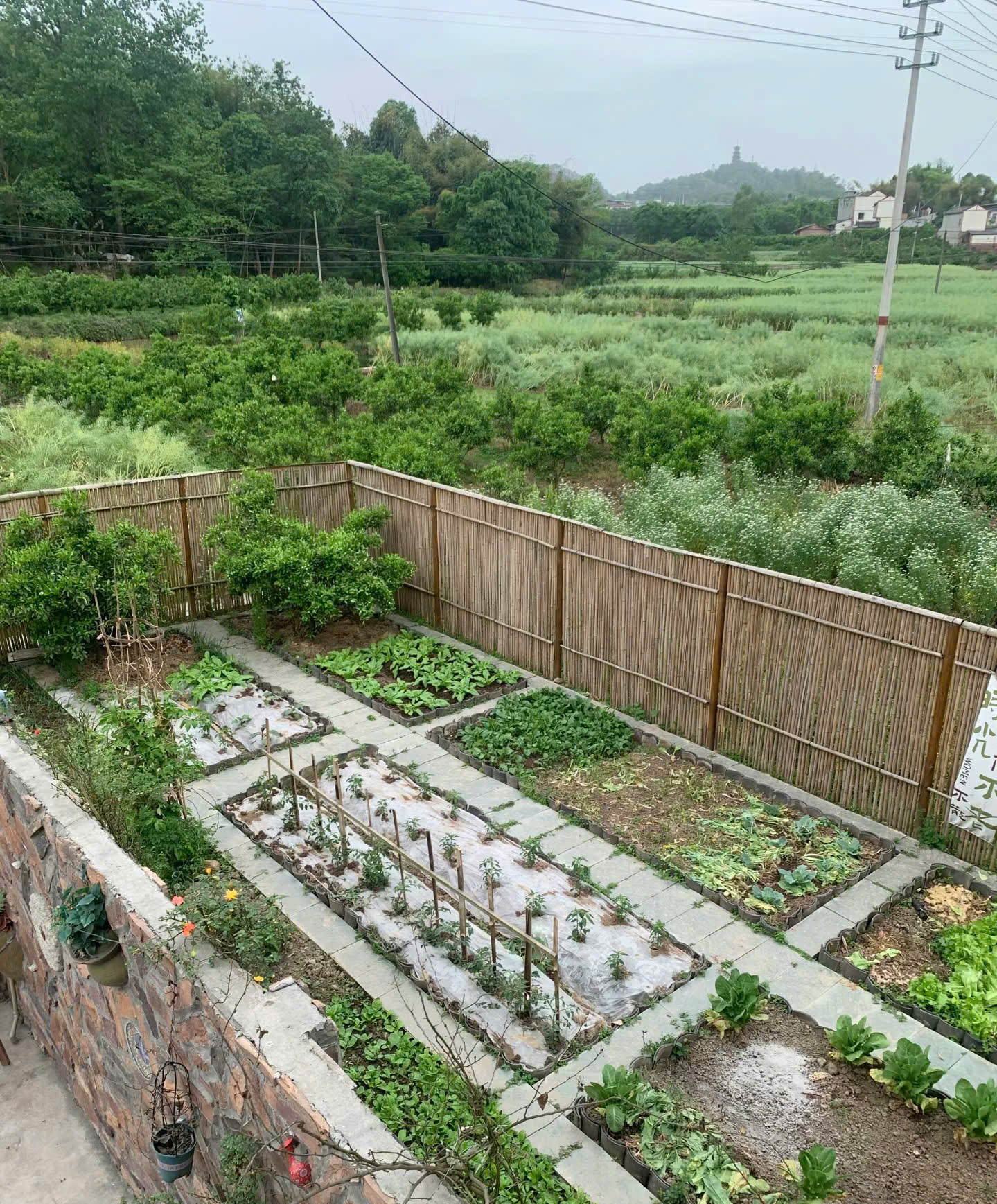 Cô giúp việc nghỉ hưu sớm, mang 2 tỷ rủ “ông hàng xóm” xây nhà dưỡng già: Tuổi này mới biết sung sướng là gì- Ảnh 6.