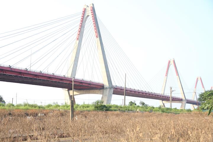 2 năm liền dính siêu bão, người trồng đào Nhật Tân, Hà Nội bật khóc lo mất Tết- Ảnh 1.